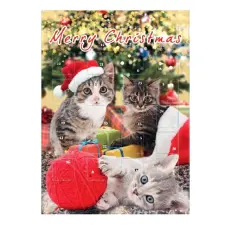 Adventskalender Choklad Katt 75g(BF:2026-06-30) Coopers Candy